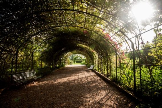 Pique-nique dans les parcs et jardins de l'Aube © A. M. Barruecos