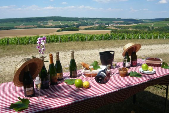 Pique-nique vigneron - Champagne Rémy Massin