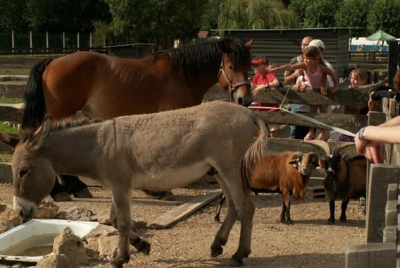 Croquez-dans-l_Aube---ferme-la-bechere