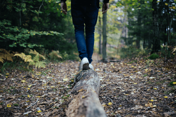 Hiking in Aube en Champagne