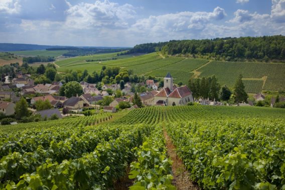 Weinanbaugebiet Aubois