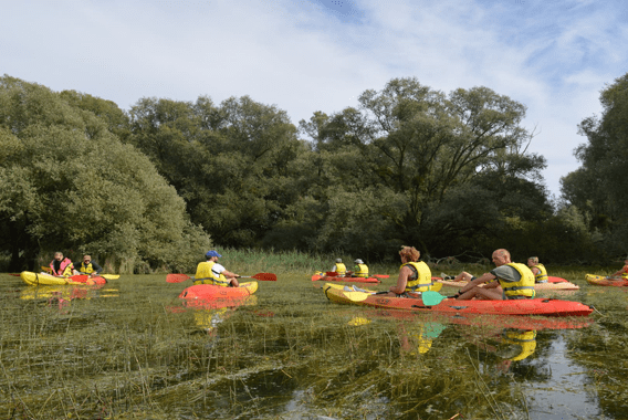 Plongez dans l'Aube ! Kayak en forêt immergée