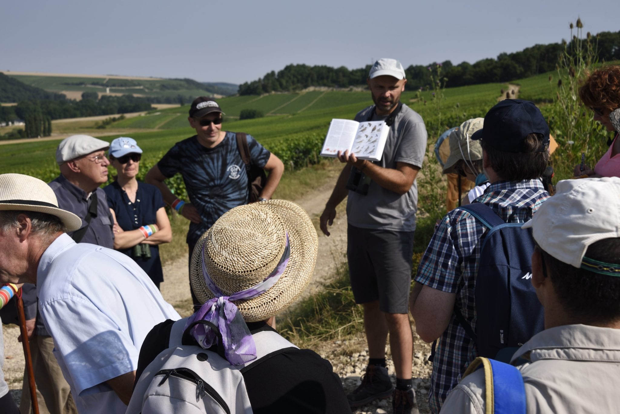 Follow the guide! Aube en Champagne Aube Champagne