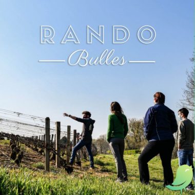 Randos-bulles_PnrFO-768x770