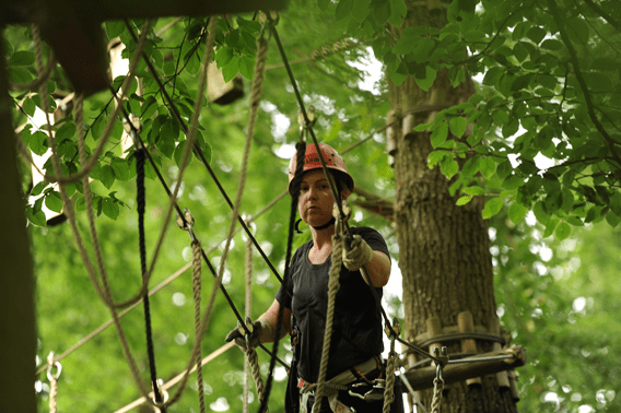 Vibrate-in-Aube-Tree climbing