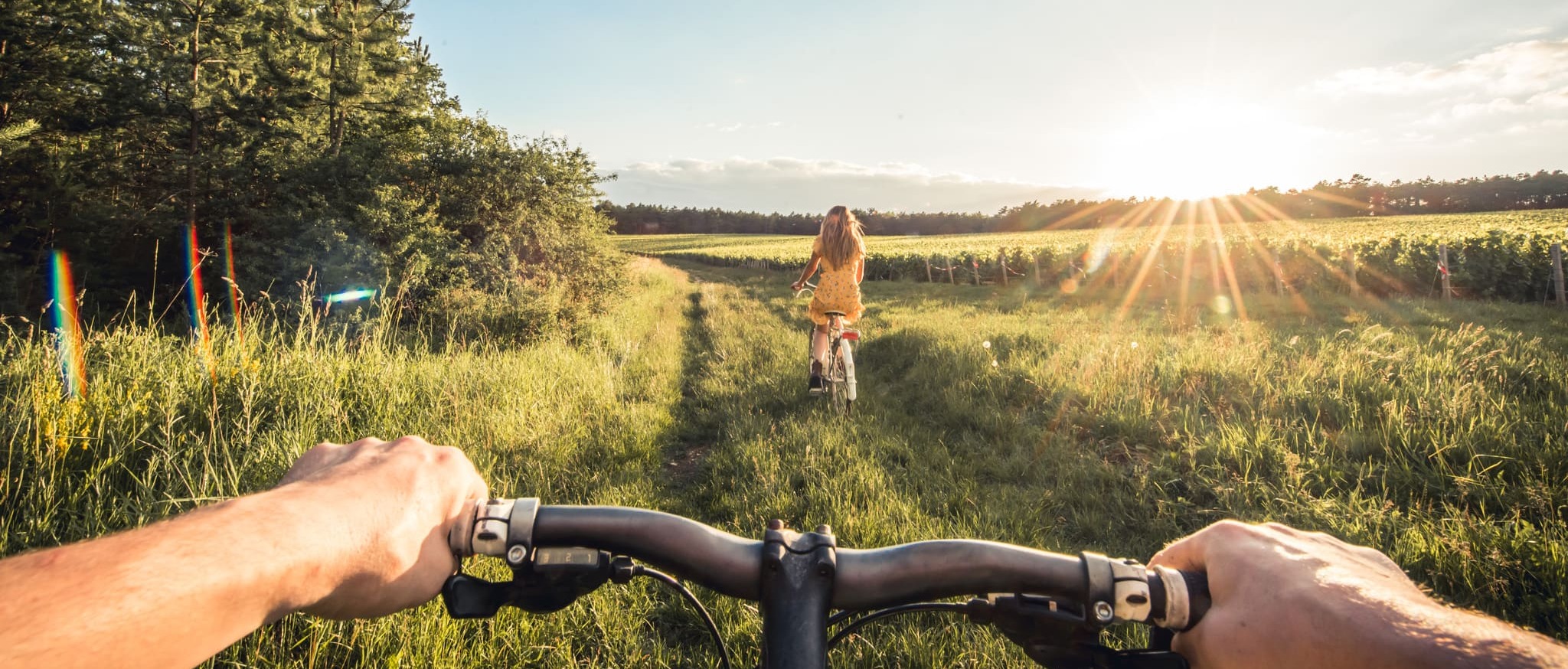 Vélo dans les vignes - crédit Le Bonheur des gens (1)