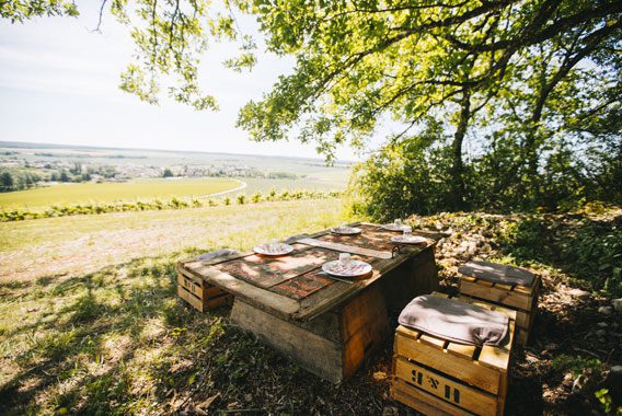 picnic