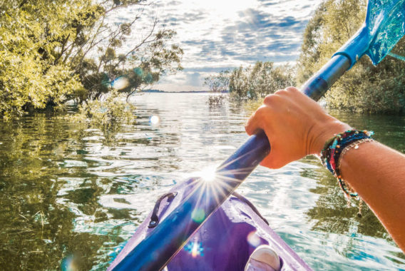 Kayak Forêt Immergée