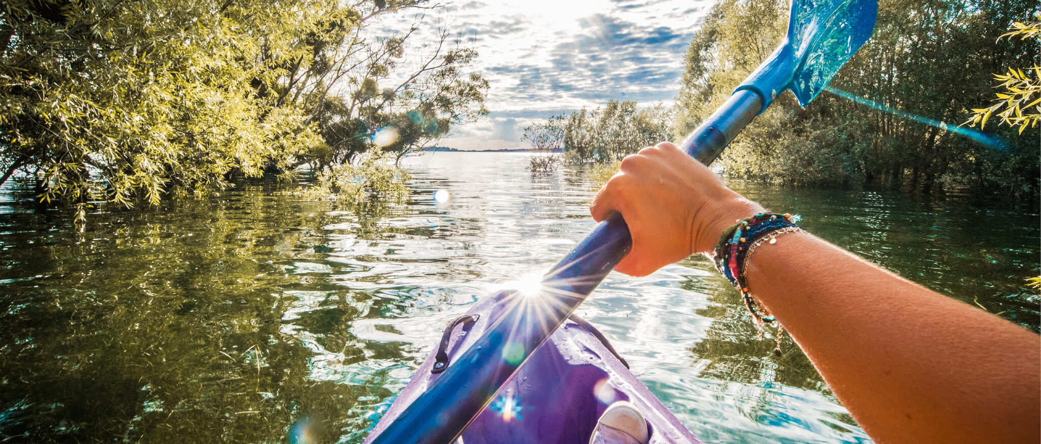 kayak immersed forest