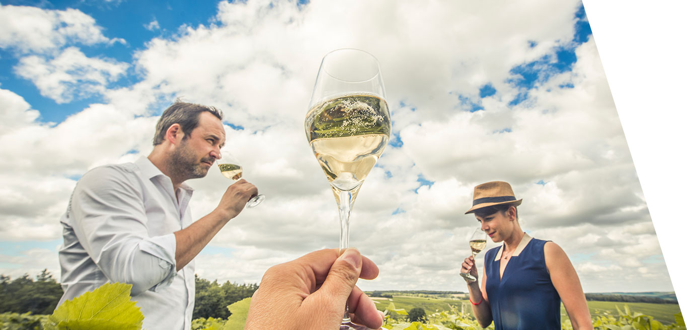 Discover the cellars of the Champagne Tourist Route