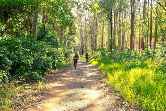 Mountainbike-Routen in der Aube