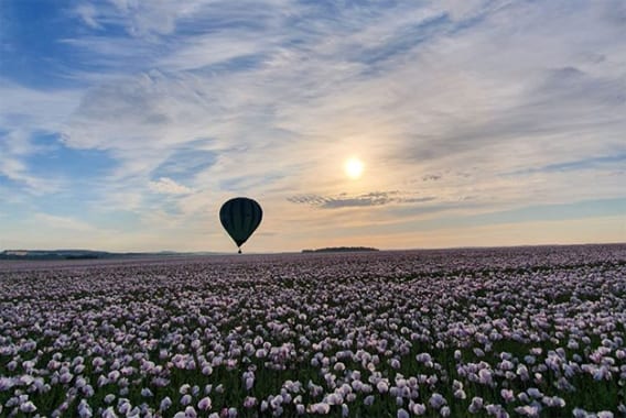 Stride-in-the-Aube-hot air balloon