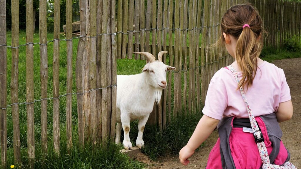 Colos apprenantes