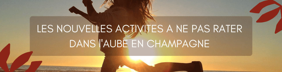 CDT Aube - Concours d'idée 2020 (1)