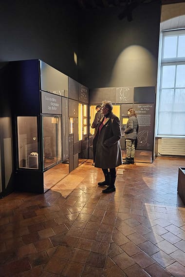 1000017169 1000017169