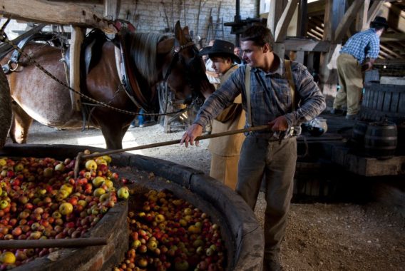 The Hotte Farm - credit photo -Stephane Herbert