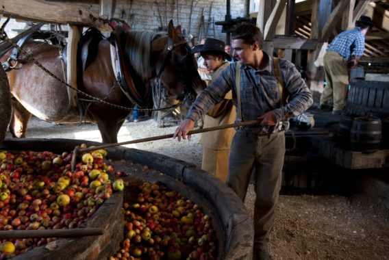 The Hotte Farm - credit photo -Stephane Herbert