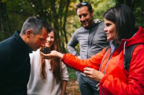 Slow Tourismus in der Aube en Champagne