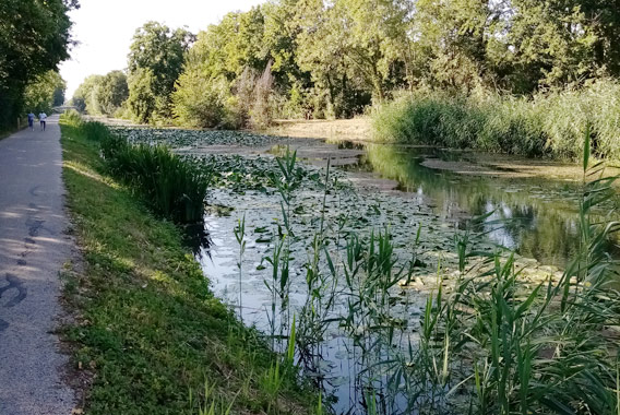 Voie-verte-canal-Haute-Seine---crédit-CDT-Aube-1