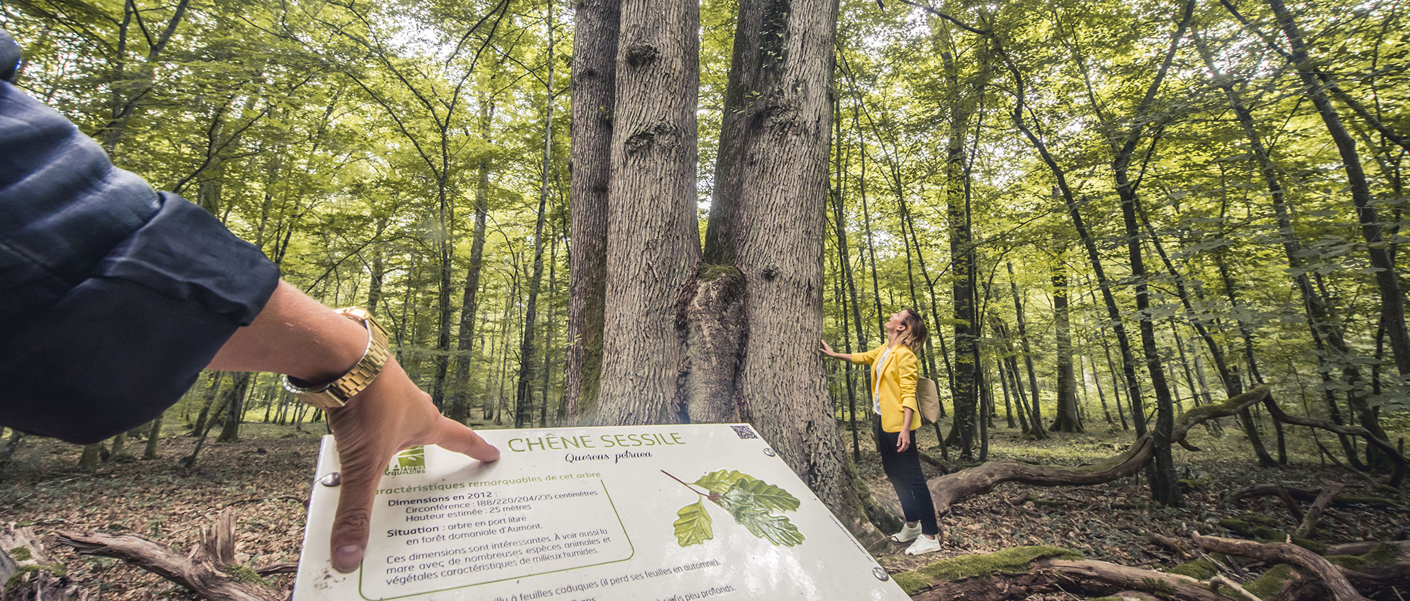 Remarkable trees