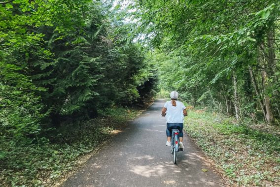 Radfahren im Wald