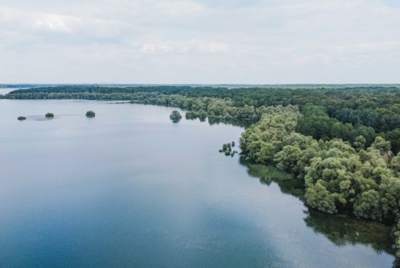 Lacs de la forêt d'orient