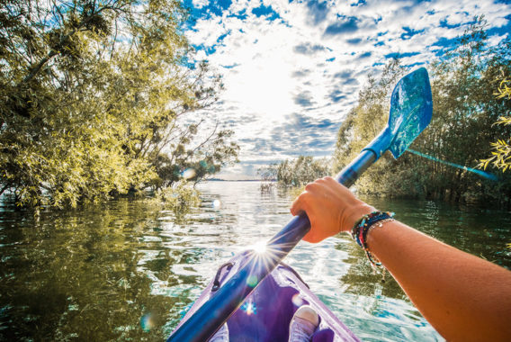 Kayak en forêt immergée - Plongez dans l'Aube