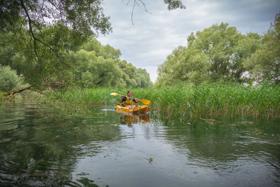 kayak foret immergée