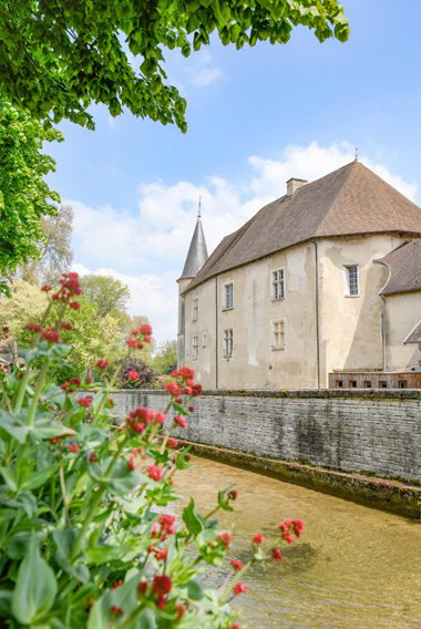 Château de Taisne