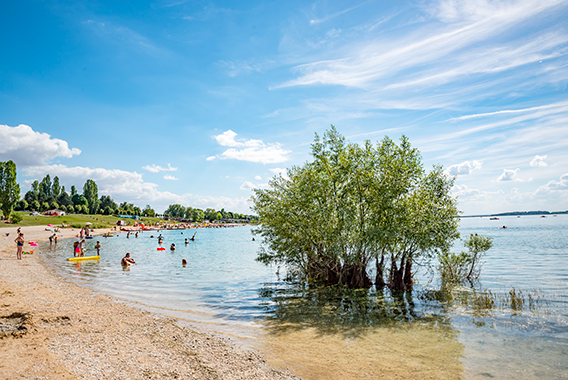 Bathing Lakes of the Forêt d'Orient