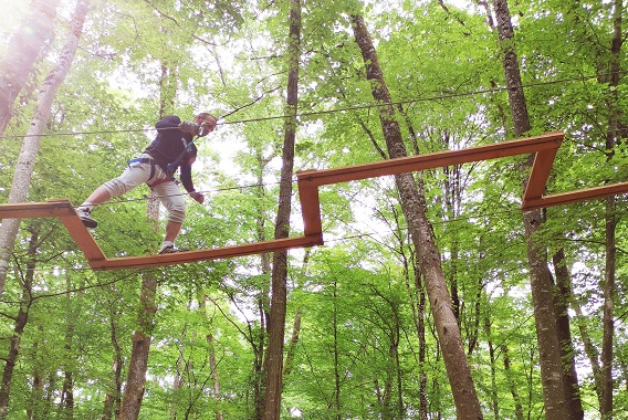 Grimpobranches in der Größe verändert