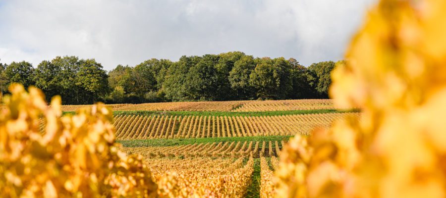 montgueux automne