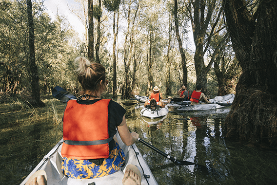 Kayak immersed forest credit clara ferrand-wildroad