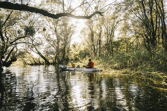 kayak en foret immergée credit Clara Ferrand