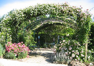 Jardin botanique de Marnay sur Seine - cr+®dit photo CDT Aube en Champagne