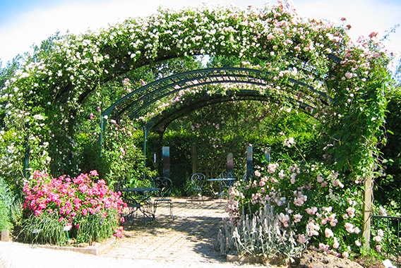 Botanical garden Marnay-sur-Seine