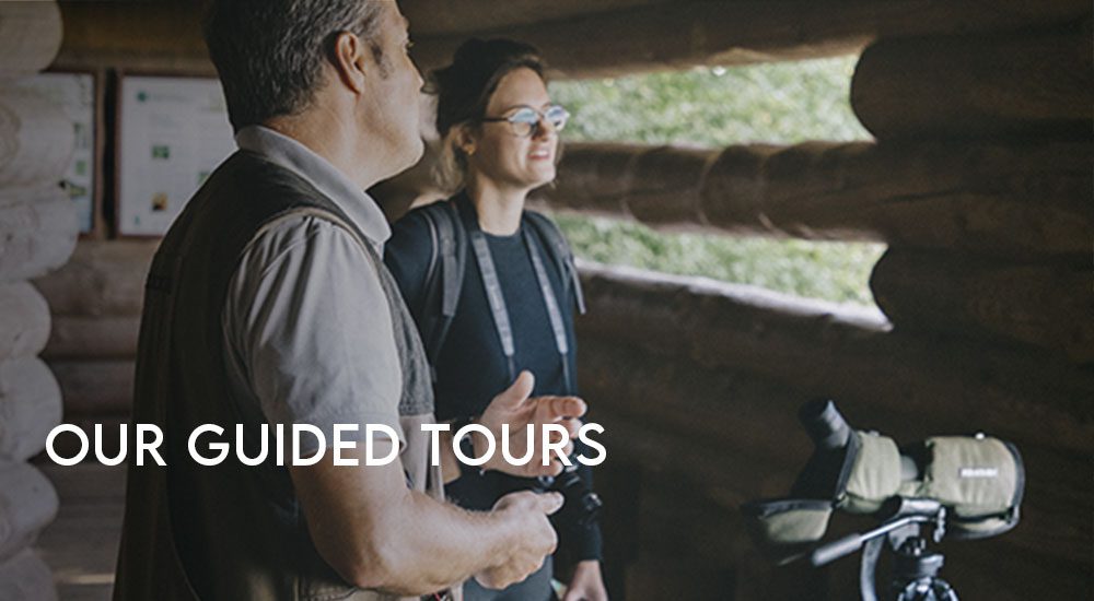 OUR-GUIDED-TOURS