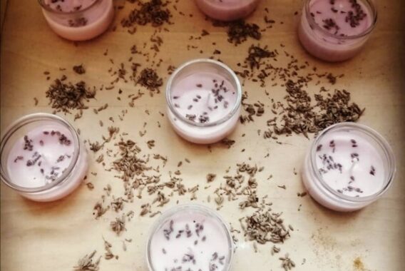 665405_bougies_8 665405_bougies_8