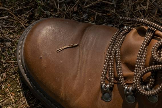 pexels-ron-lach Chaussure randonnée
