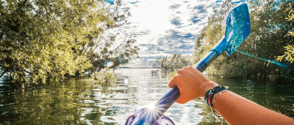Kayak-en-forêt-immergée----©-Le-Bonheur-des-Gens