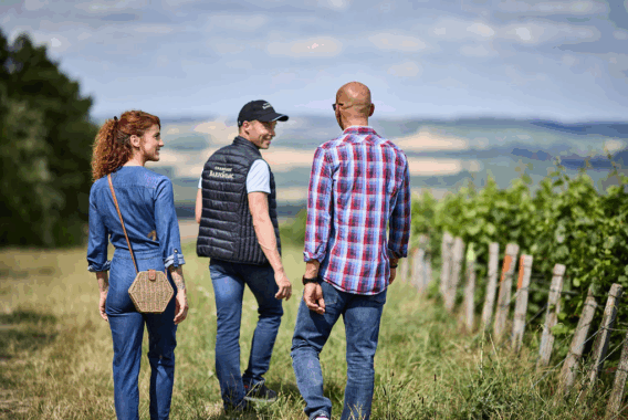 Champagne De Barfontarc - ©Olivier Frajman Champagne De Barfontarc - ©Olivier Frajman
