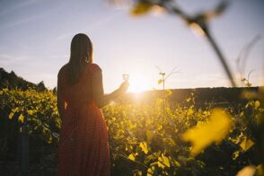 Afterwork au château St-Anne à Auderghem