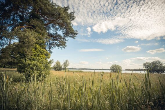 Lac Amance depuis observatoire 2 - © Le Bonheur des Gens Lac Amance depuis observatoire 2 - © Le Bonheur des Gens