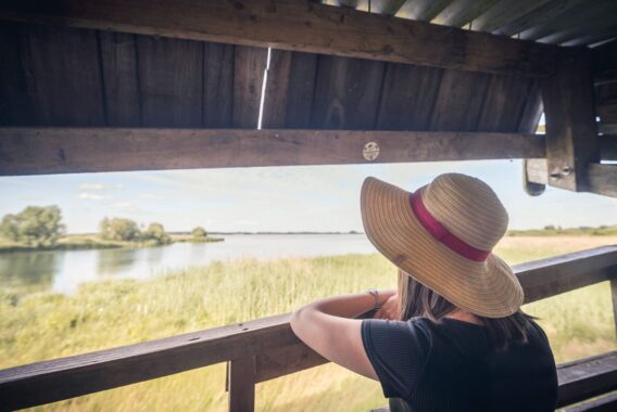 Observatoire du lac Amance 2 - © Le Bonheur des Gens Observatoire du lac Amance 2 - © Le Bonheur des Gens