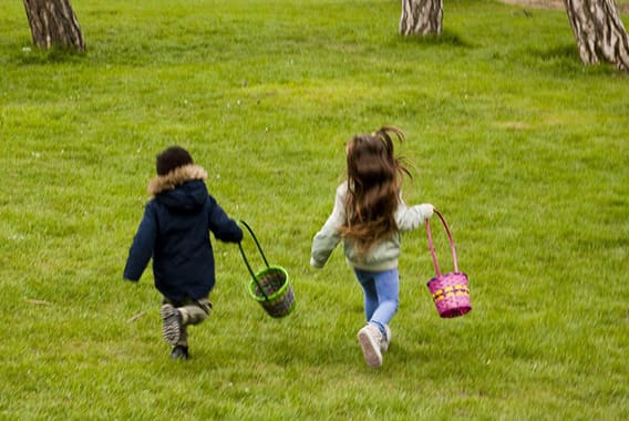 B9729866316Z.1_20220205123723_000+G17JR365N.1-0 B9729866316Z.1_20220205123723_000+G17JR365N.1-0