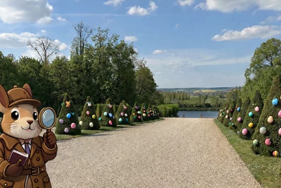 b66170be44ec-chasse-aux-oeufs-pour-les-grands.webp b66170be44ec-chasse-aux-oeufs-pour-les-grands.webp