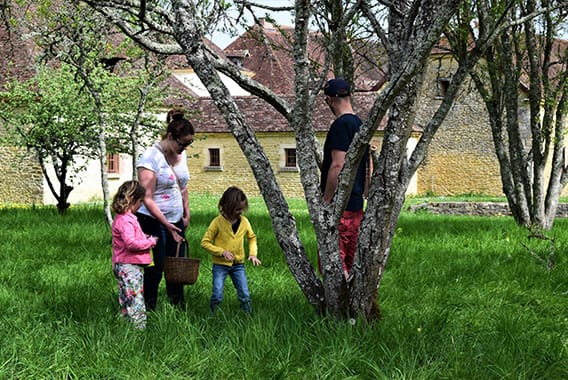 chateau-de-vaux-la-grande-chasse-aux-oeufs-2 chateau-de-vaux-la-grande-chasse-aux-oeufs-2