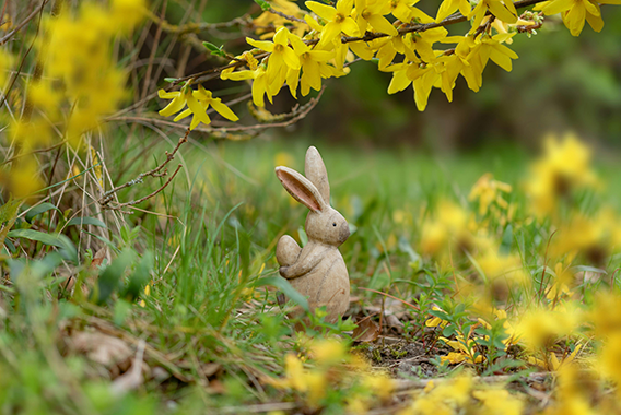 pexels-guvo59-30388007 pexels-guvo59-30388007