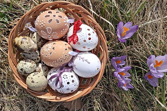 pexels-kata-22729651-36685595 pexels-kata-22729651-36685595