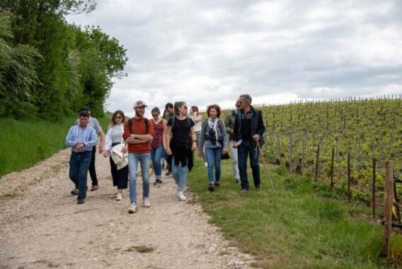 httpsmediastourismsystemcomef843875champagnebinoncoquardjpg httpsmediastourismsystemcomef843875champagnebinoncoquardjpg